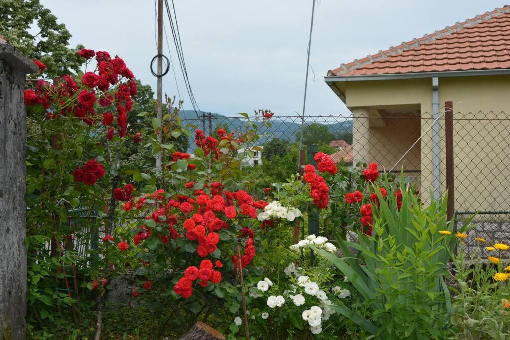 B&B Ana Virpazar Esterno foto